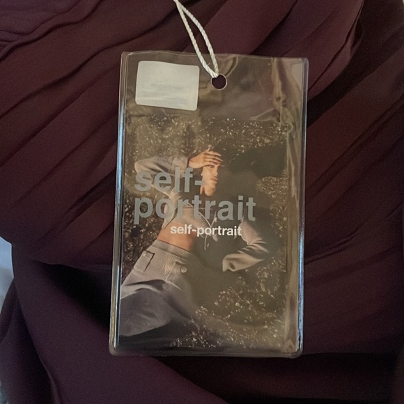 NWT Self Portrait Iris Crepe Mini Dress - Picture 5 of 6